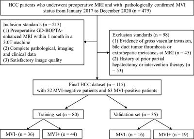 Multi-Region Radiomic Analysis Based on Multi-Sequence MRI Can Preoperatively Predict Microvascular Invasion in Hepatocellular Carcinoma